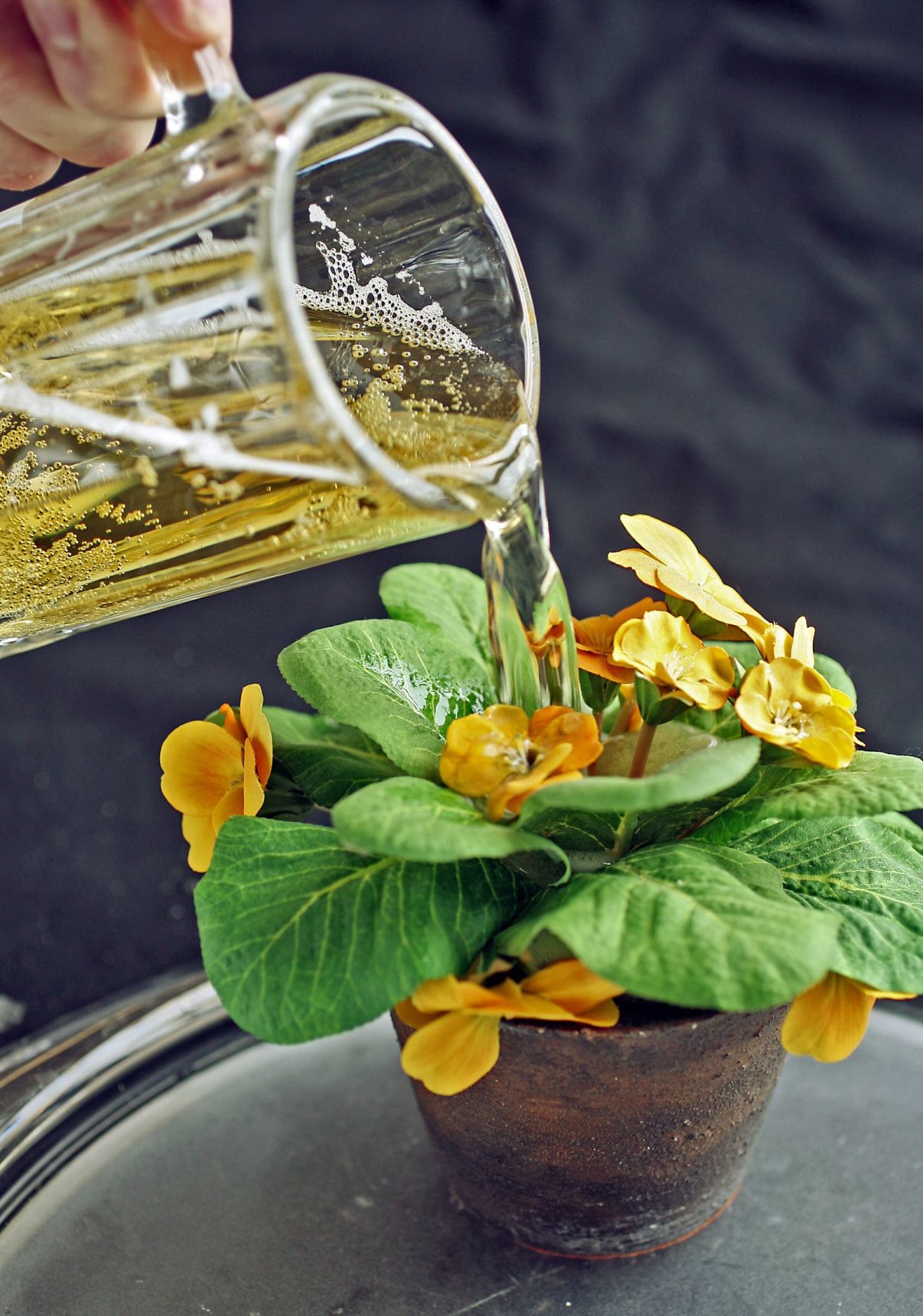 Beer and flower